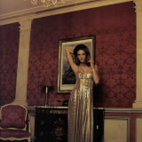 Alessandra Ambrosio Photo 3