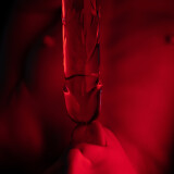 2020-10-31_A-little-red-light-and-glass-dildo-fun-thanks-to-_3840x5760_7e12243e297e33886883667322a6e05b