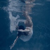 d_qNdPE-E1Yae1aa42a7bb8f14f