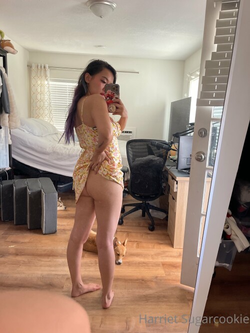 Harriet Sugarcookie Nude Leaked Onlyfans Photo Harriet Sugarcookie Nude Leaked Onlyfans Photo