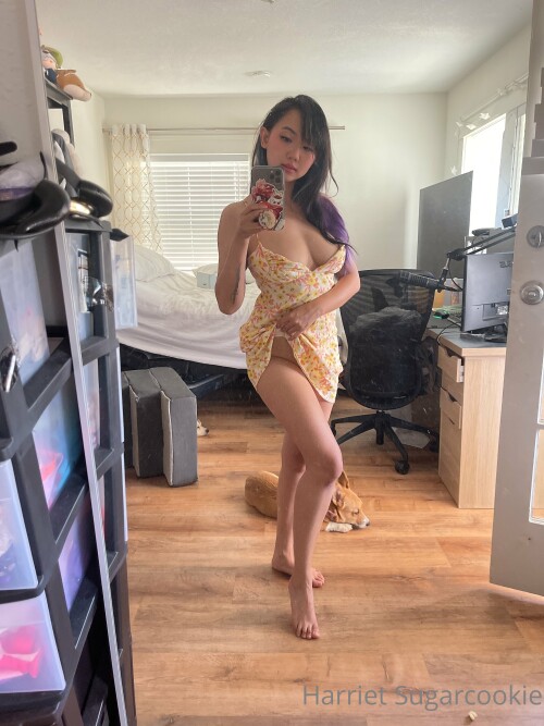 Harriet Sugarcookie Nude Leaked Onlyfans Photo Harriet Sugarcookie Nude Leaked Onlyfans Photo