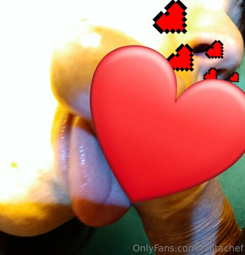 Talita Chef Nude Leaked Onlyfans Photo