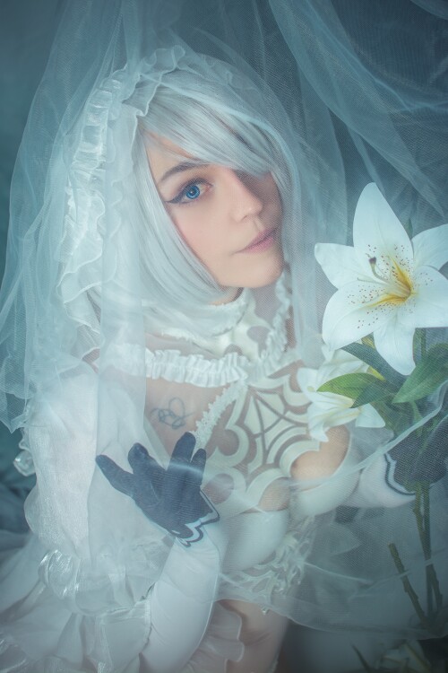 23fb659770b5cf59c.md.jpg