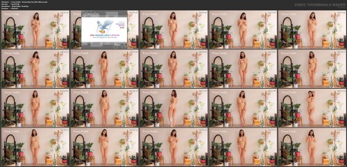 Freya Fields Nude Leaked Onlyfans Photo Freya Fields Nude Leaked Onlyfans Photo