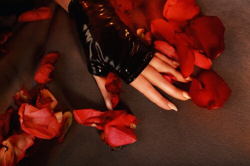 AliceCosplay / Alice_With_Cats Nude Leaked Onlyfans Photo AliceCosplay / Alice_With_Cats Nude Leaked Onlyfans Photo