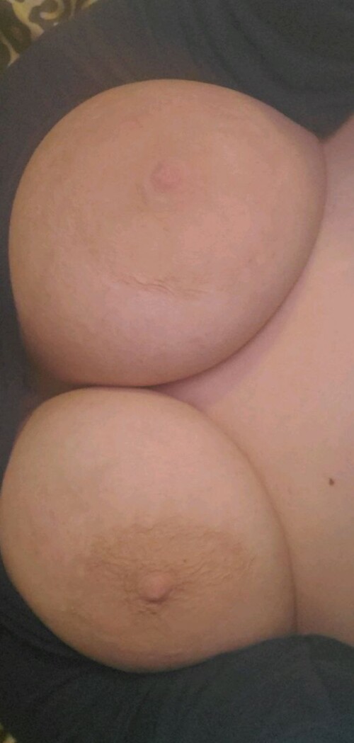 Bigtittykitty7-BigOTittys Nude Leaked Onlyfans Photo Bigtittykitty7-BigOTittys Nude Leaked Onlyfans Photo