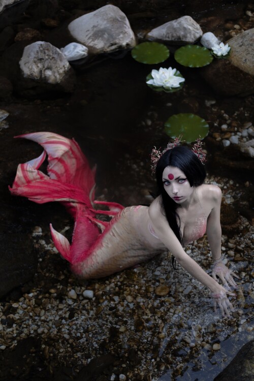Himee.lily Himeecosplay Nude Leaked Onlyfans Photo Himee.lily Himeecosplay Nude Leaked Onlyfans Photo