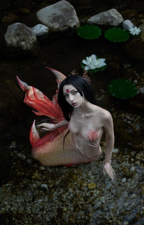 Himee.lily Himeecosplay Nude Leaked Onlyfans Photo Himee.lily Himeecosplay Nude Leaked Onlyfans Photo