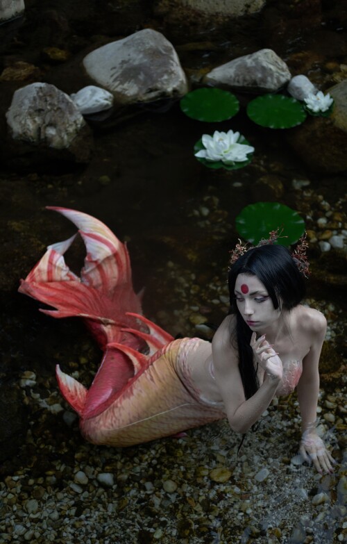 Himee.lily Himeecosplay Nude Leaked Onlyfans Photo Himee.lily Himeecosplay Nude Leaked Onlyfans Photo