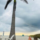 Toes_and_Palm_trees_