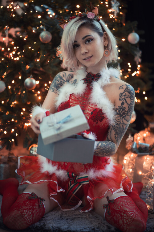 XmasZayu3BIG.md.jpg