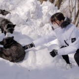 Yuki-5777fb154350d99f3