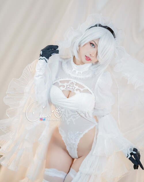 charechii-photo-16723183255a22d070a69dae4f.md.jpg