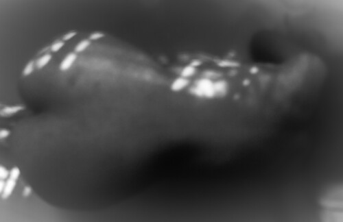 Famil Faiza / familfaiza_ Nude Leaked Onlyfans Photo Famil Faiza / familfaiza_ Nude Leaked Onlyfans Photo