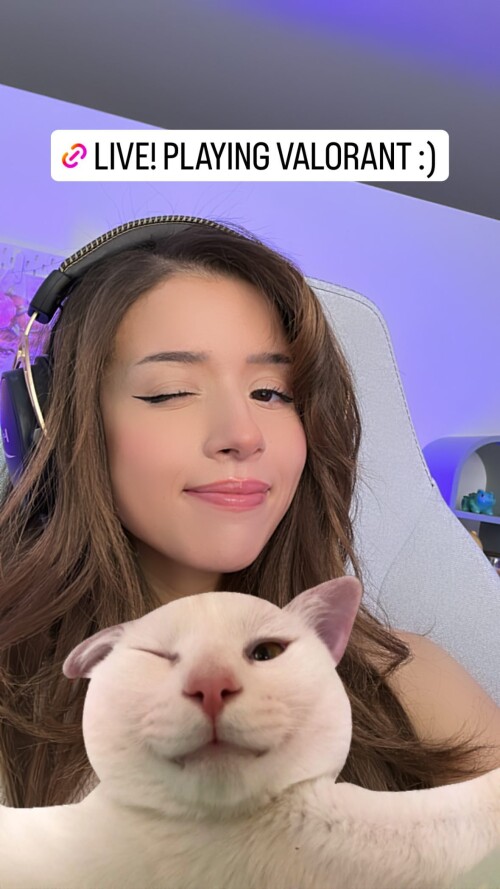 pokimanelol_323657923_528697595894049_4845319697611661146_n3601634a90d38131.jpg