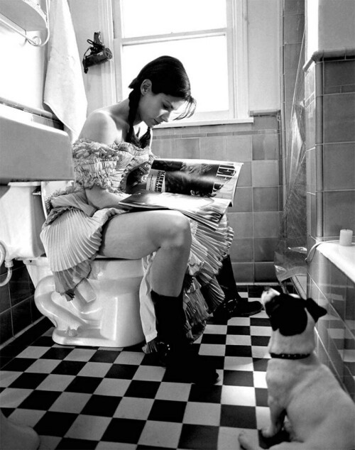 sandra-bullock-toilet-808x1024.jpg