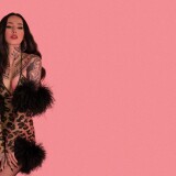 wallpaperleoparddbd1d353fffe493c